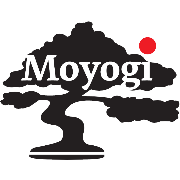 (c) Moyogi-basel.ch