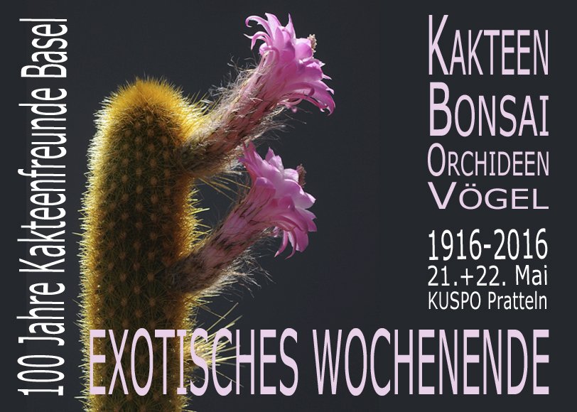 exotisches Wochenende 2016